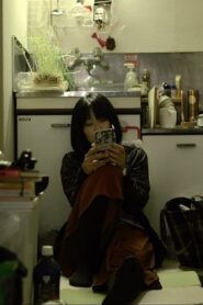 遠近を抱えた女 Online En Netflix