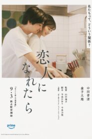 恋人になれたら Online En Netflix