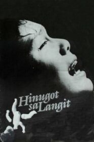 Hinugot sa Langit Online En Netflix