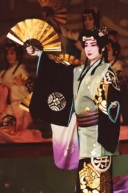 花幻抄 Online En Netflix