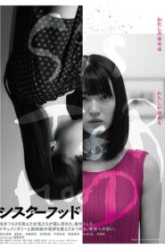 シスターフッド Online En Netflix