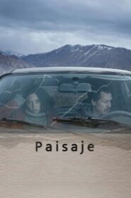 Paisaje Online En Netflix