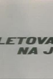 Ljetovanje na jugu Online En Netflix