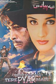 تیرے پیار میں Online En Netflix