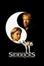 Sidekicks Online En Netflix