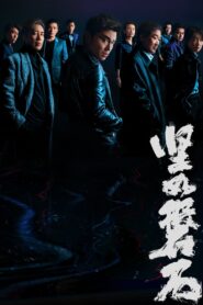 坚如磐石 Online En Netflix