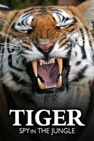 Tiger: Spy In The Jungle 2008 En Netflix