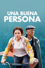 Una buena persona Online En Netflix