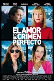 L’amour est un crime parfait Online En Netflix