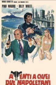 Attenti a quei due napoletani Online En Netflix