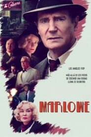 Sombras de un crimen Online En Netflix