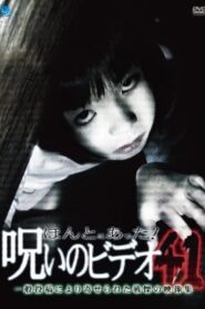 ほんとにあった！呪いのビデオ41 Online En Netflix