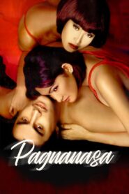 Pagnanasa Online En Netflix