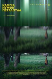 Κάμπια Νύμφη Πεταλούδα Online En Netflix