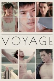 Voyage Online En Netflix