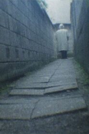 薄墨の都 Online En Netflix