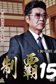 制覇１５ Online En Netflix