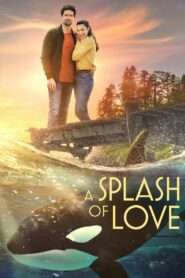 A Splash of Love Online En Netflix