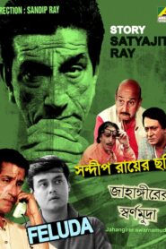 জাহাঙ্গীরের স্বর্ণমুদ্রা Online En Netflix