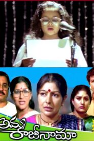 అమ్మ రాజీనామా Online En Netflix