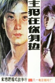 主犯在你身边 Online En Netflix