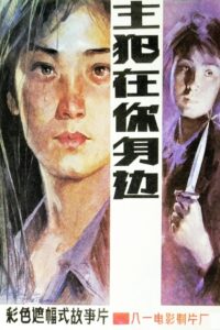 主犯在你身边 Online En Netflix