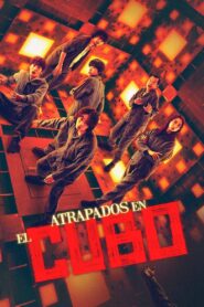 Atrapados en el cubo Online En Netflix