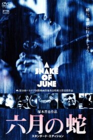 六月の蛇 Online En Netflix