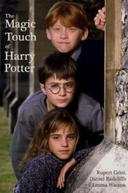 The Magic Touch of Harry Potter Online En Netflix