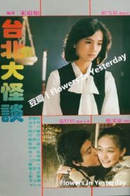 台北大怪谈 Online En Netflix