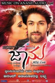 Jaanu Online En Netflix