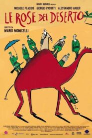 Le rose del deserto Online En Netflix