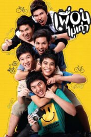 เพื่อนไม่เก่า Online En Netflix