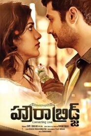 Howrah Bridge Online En Netflix