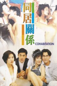 同居关系 Online En Netflix