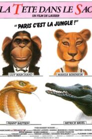 La Tête dans le sac Online En Netflix