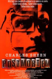 Postmortem Online En Netflix