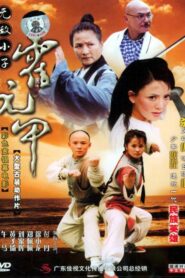 無敵小子霍元甲 Online En Netflix
