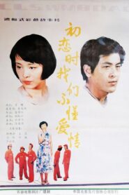 初恋时我们不懂爱情 Online En Netflix