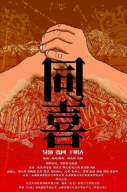 同喜 Online En Netflix