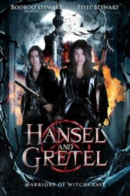 Hansel & Gretel: Warriors of Witchcraft Online En Netflix