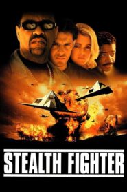 Stealth Fighter Online En Netflix