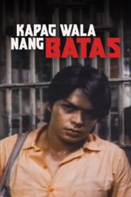 Kapag wala nang batas Online En Netflix