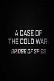 A Case of the Cold War: Bridge of Spies Online En Netflix