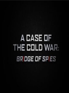 A Case of the Cold War: Bridge of Spies Online En Netflix