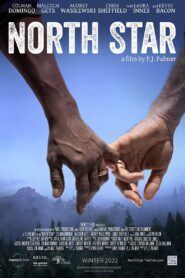 North Star Online En Netflix