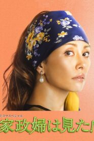 家政婦は見た! Online En Netflix