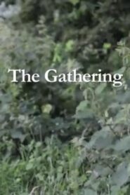 The Gathering Online En Netflix