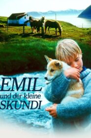 Skýjahöllin Online En Netflix