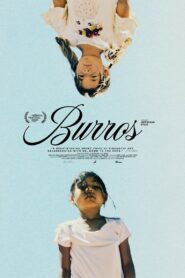 Burros Online En Netflix